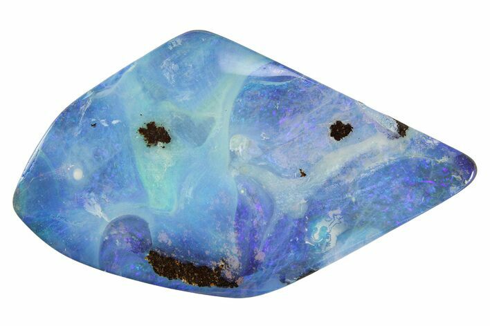 Galactic Boulder Opal Specimen - Queensland, Australia #351896